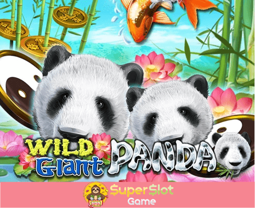 รีวิวเกมสล็อต Wild Giant Panda สล็อตออนไลน์ จากค่าย Joker