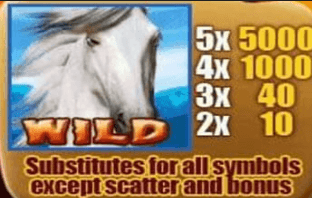 สัญลักษณ์ Wild เกม Wild Spirit