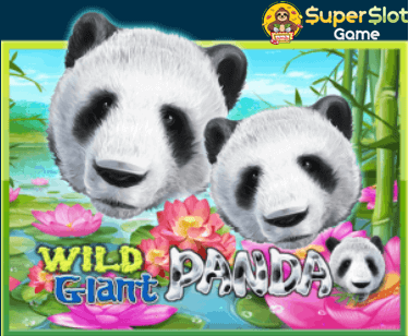 รีวิวเกมสล็อต Wild Giant Panda สล็อตออนไลน์ จากค่าย Joker