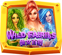 Wild Fairies เกมนางฟ้าแนวแฟนตาซี